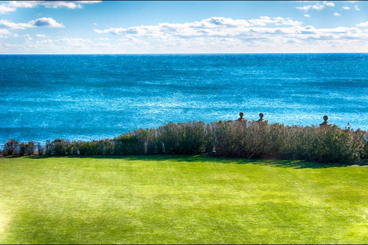 best grass seed for rhode island