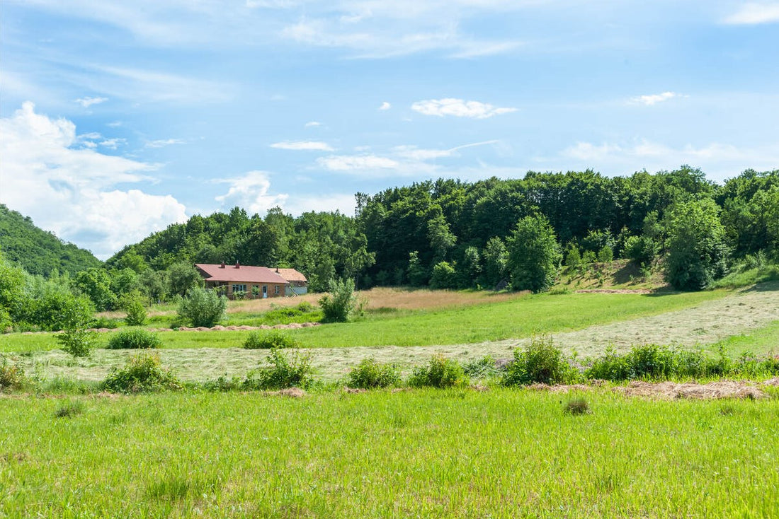 best grass seed for slopes