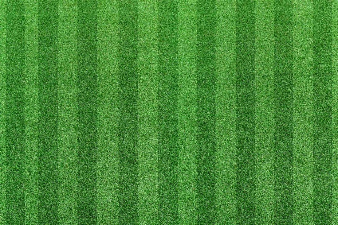 best pre emergent for lawns