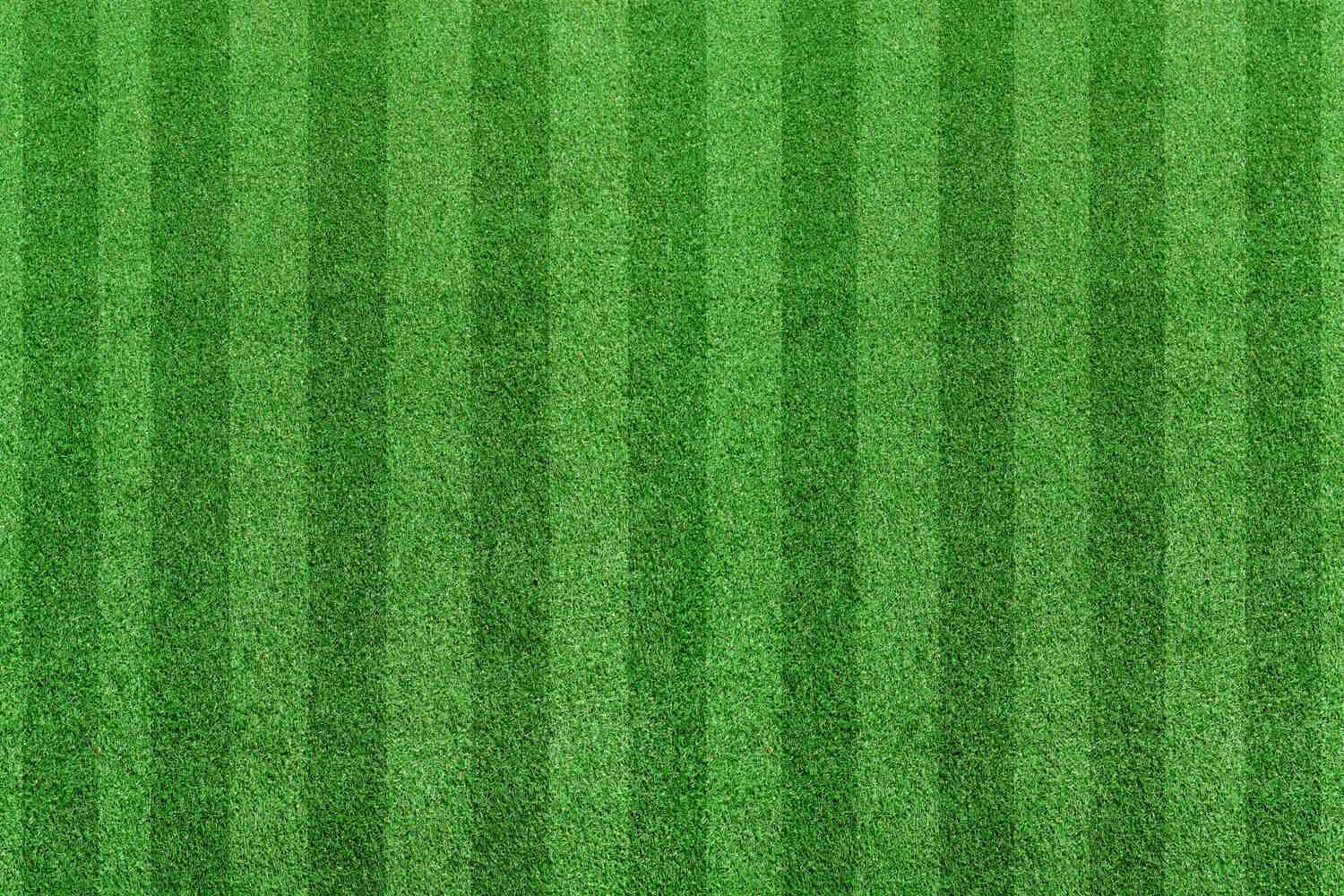 best pre emergent for lawns