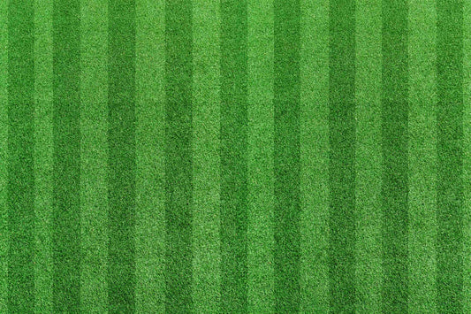 best pre emergent for lawns