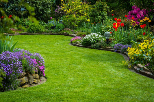 best pre emergent for spring