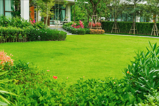 best time to plant grass seed illinois