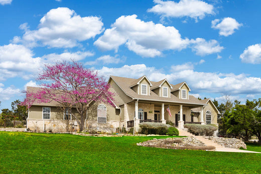 best time to plant grass seed in texas