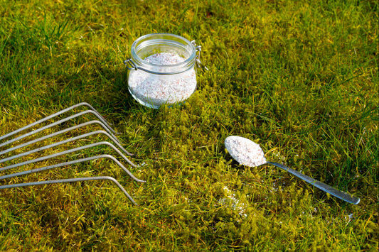 when to seed and fertilize lawn