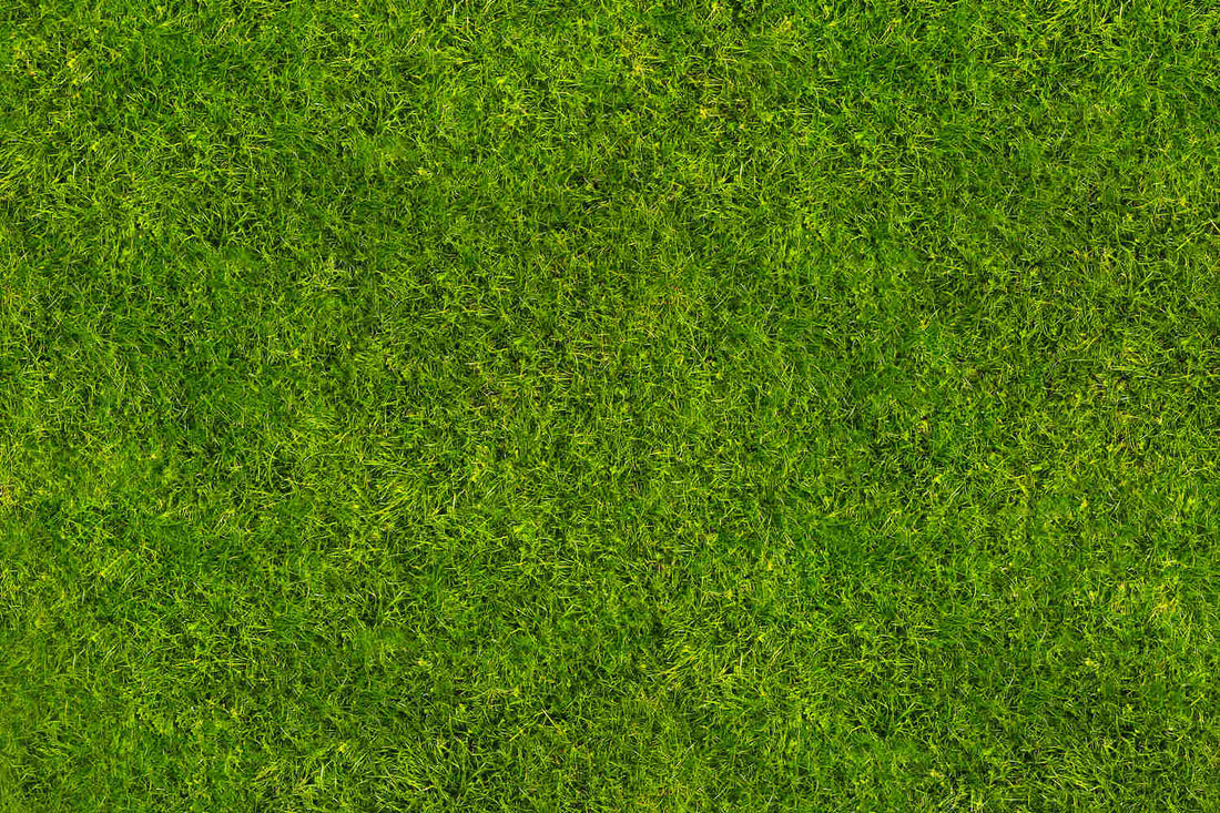 can you apply pre emergent and fertilizer at the same time