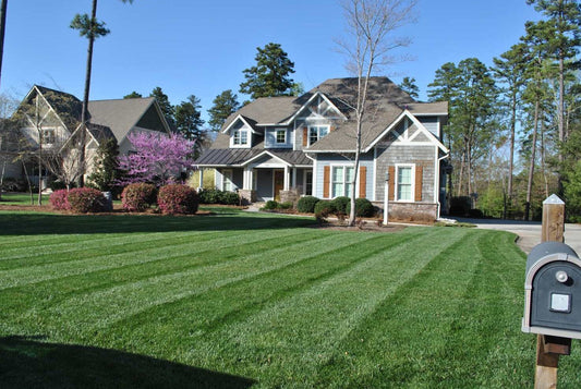 can you plant grass seed in summer