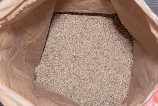 best grass seed for rocky soil