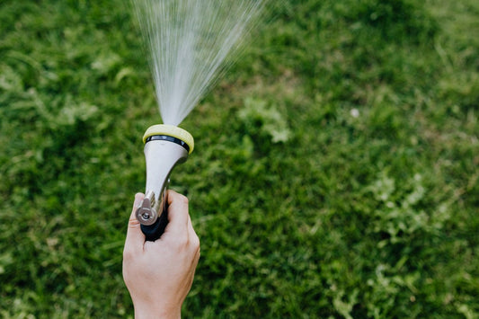 how to care for bermuda grass