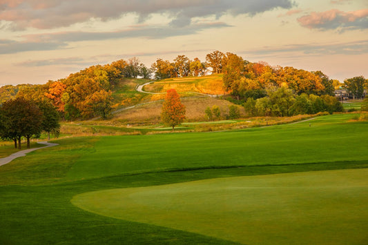 best time to overseed lawn in minnesota 1