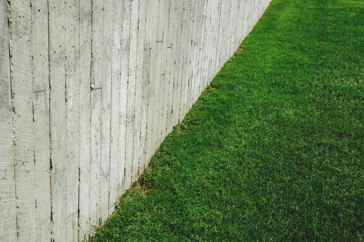 how to protect grass seed