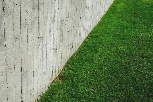 how to protect grass seed