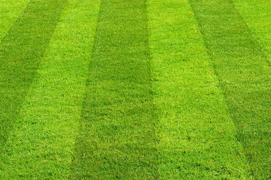 How To Prepare A Large Area For Grass Seed