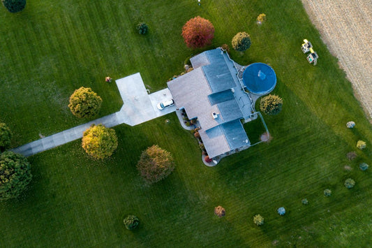 st augustine grass vs zoysia