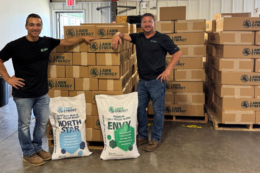 What Grass Seed Should I Use for My Lawn?