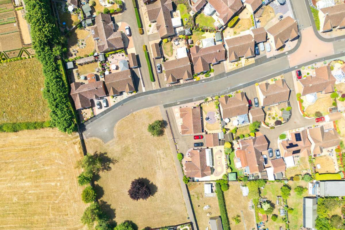 Beautiful view of Lawn Drought Tolerance