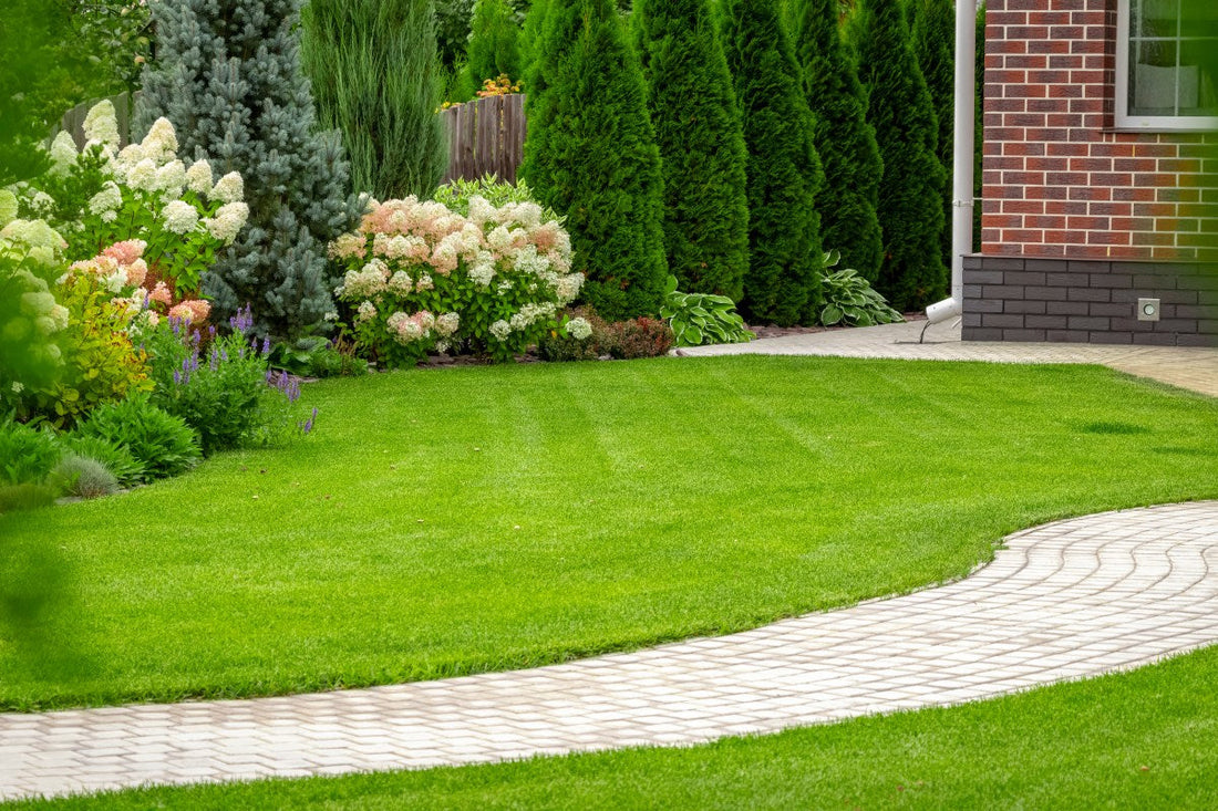 keep grass seed from washing away