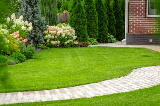 keep grass seed from washing away