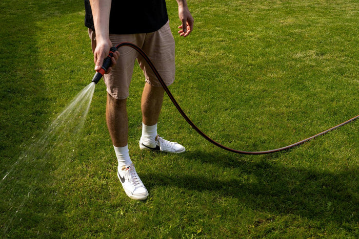 how to water grass seed