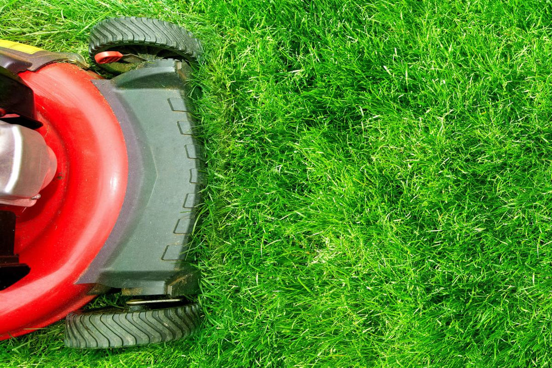applying pre emergent herbicide