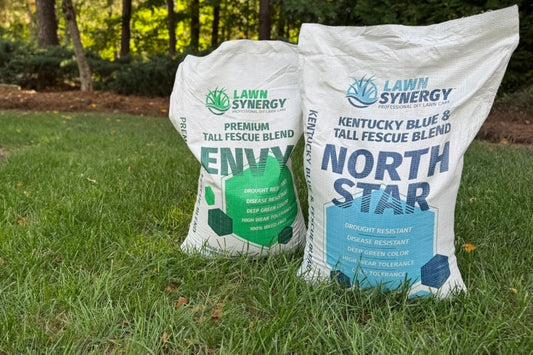 when is the best time to put down grass seed