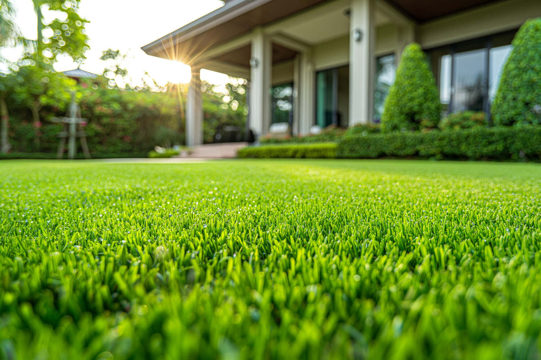 best grass seed for oregon