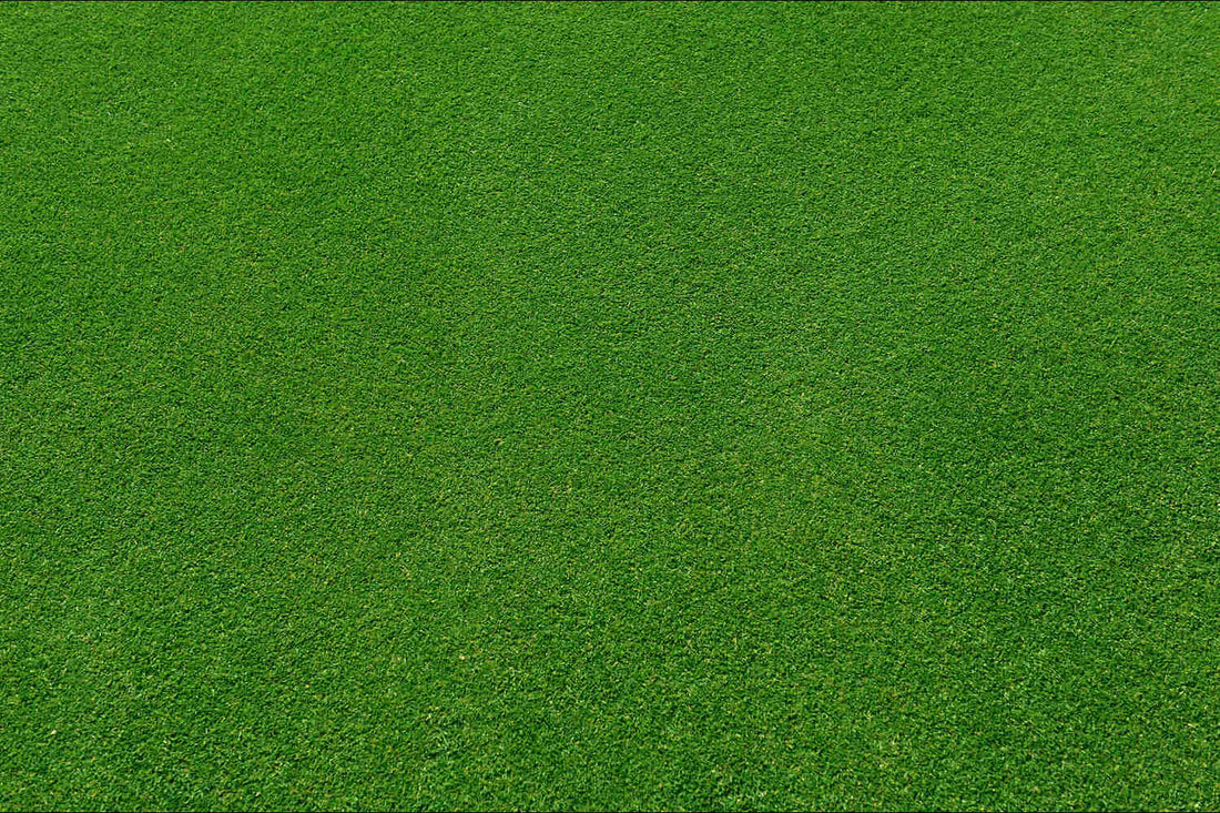 when to apply pre emergent