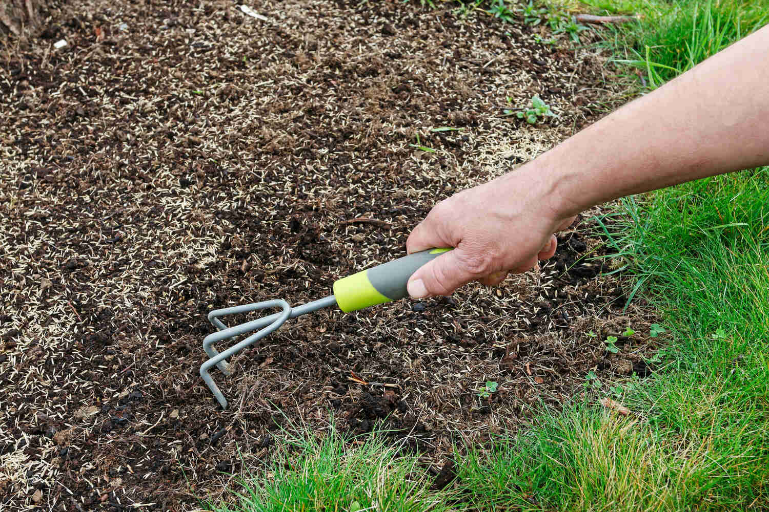  Best Grass Seed for Michigan
