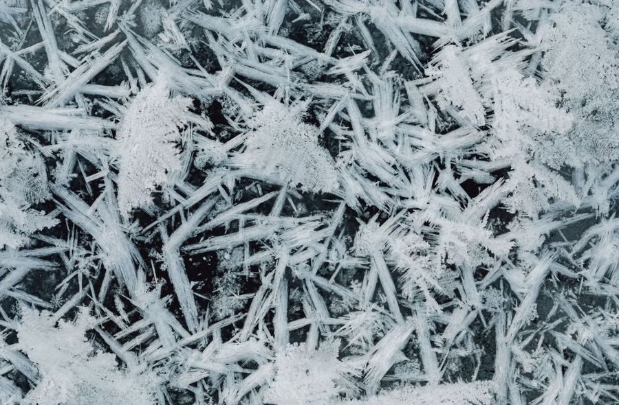 Best Lawn Fertilizer for Winter