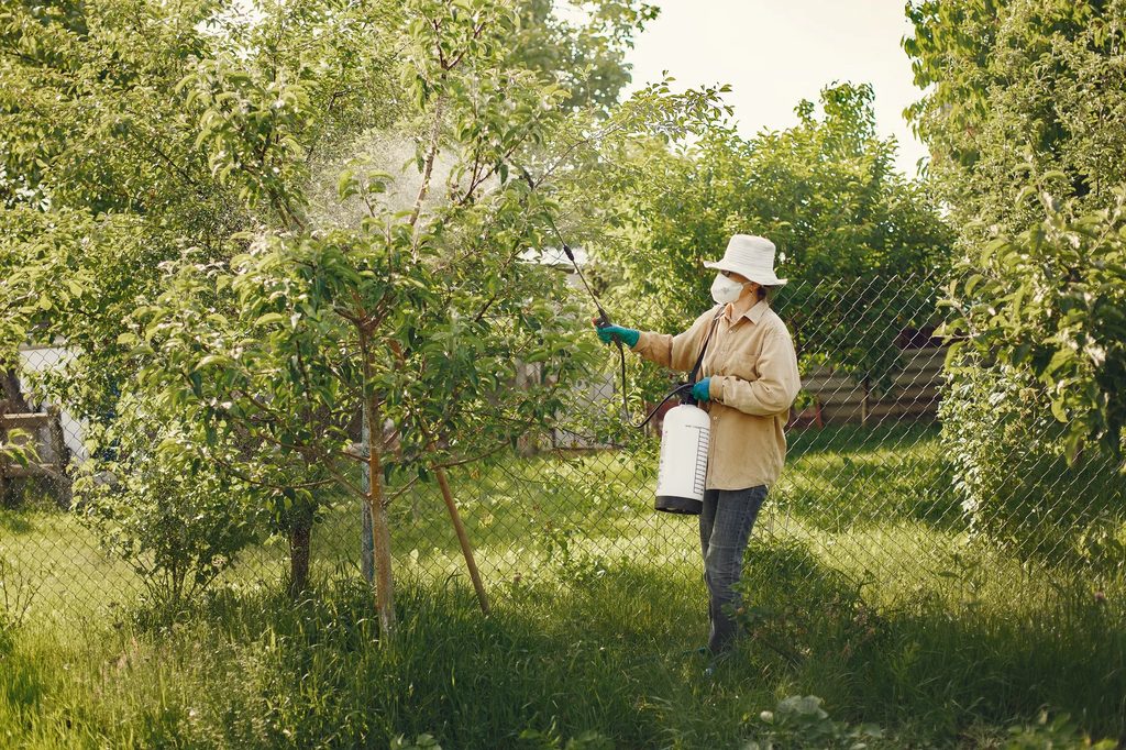 Woman in protective gear spraying pesticides on garden trees with a spray bottle.