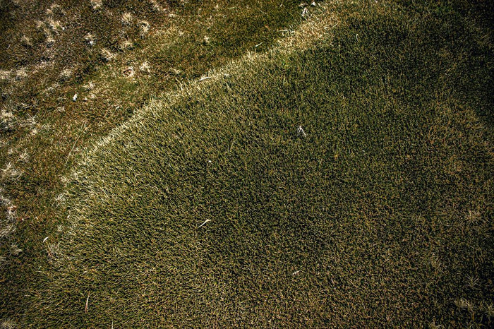 Close-up of textured green and brown lawn grass with natural patterns and contrasts.