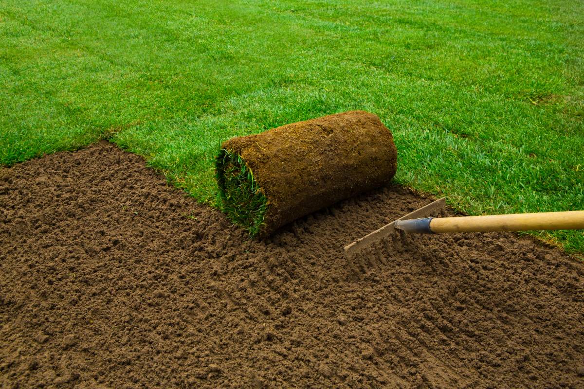 How to Install Turf: A DIY Step-by-Step Guide