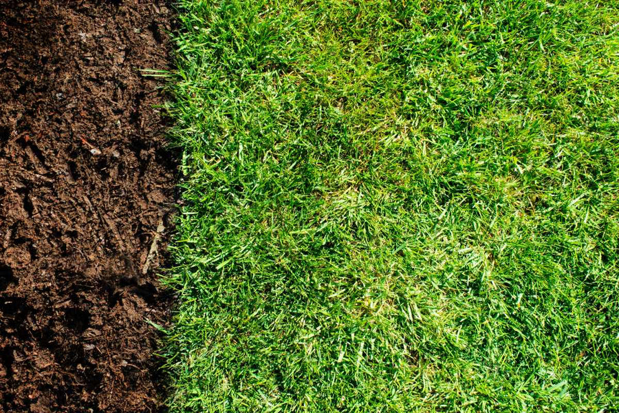 How To Prepare Ground For Turf