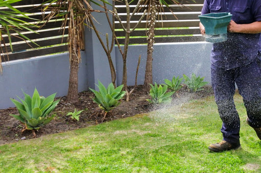 how to spread grass seed with a spreader