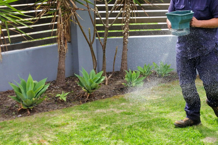 How To Spread Grass Seed With A Spreader | Lawn Synergy