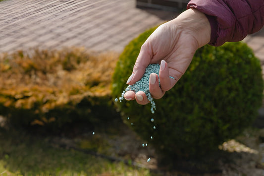 liquid vs granular lawn fertilizer 