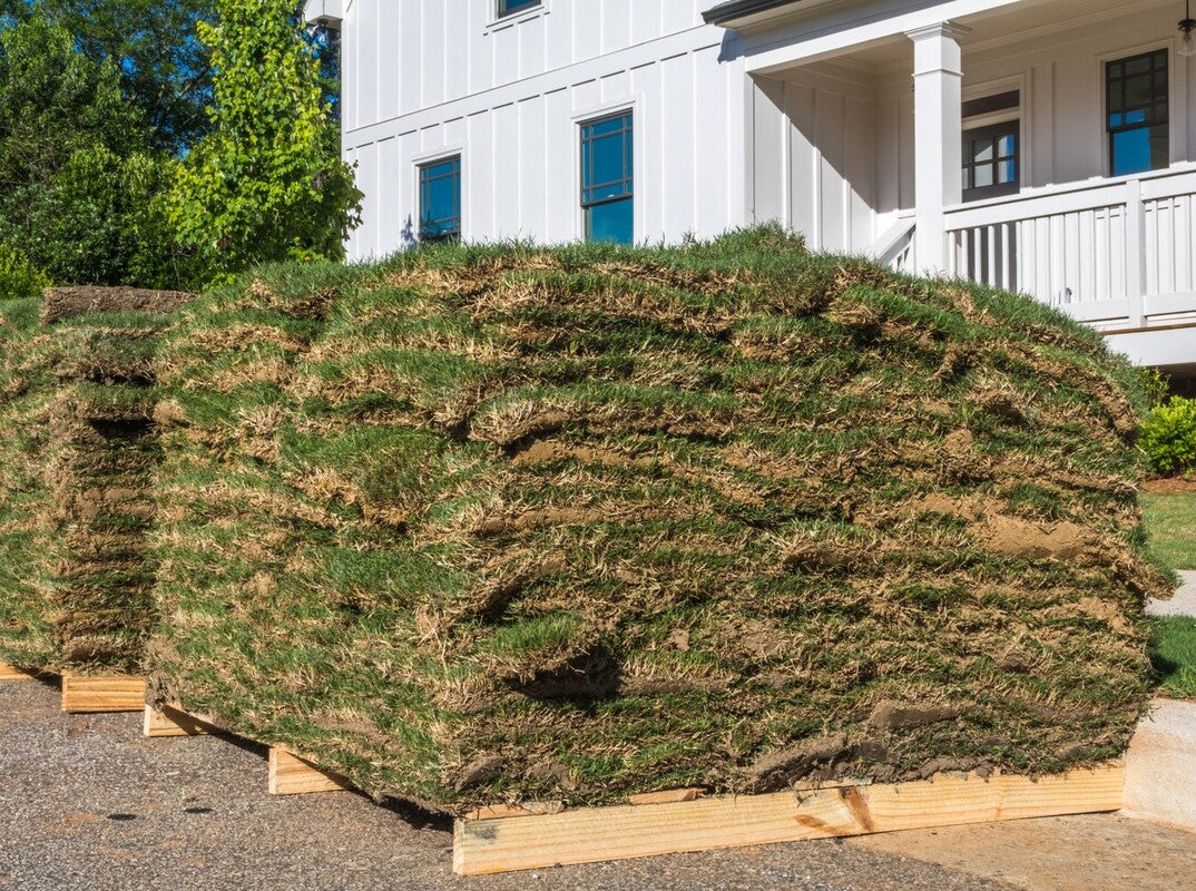 patches of sod for use with best fertilizer for new Bermuda sod