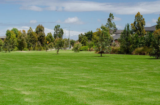 when to plant warm season grass