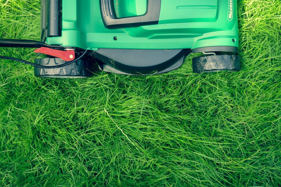 should you mow before pre emergent