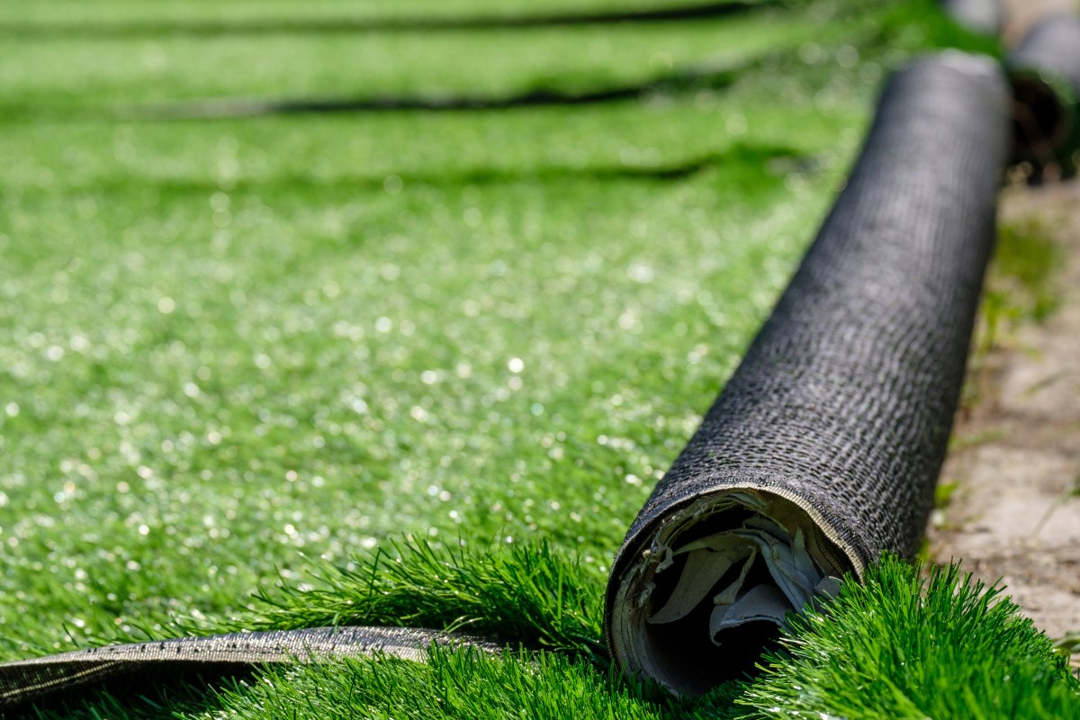 turf vs grass
