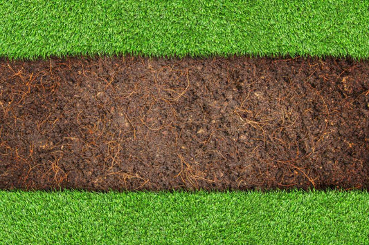 turf vs lawn