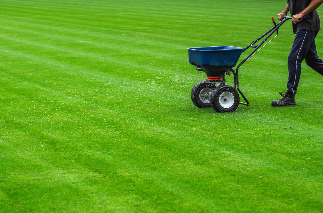 when to apply crabgrass pre emergent