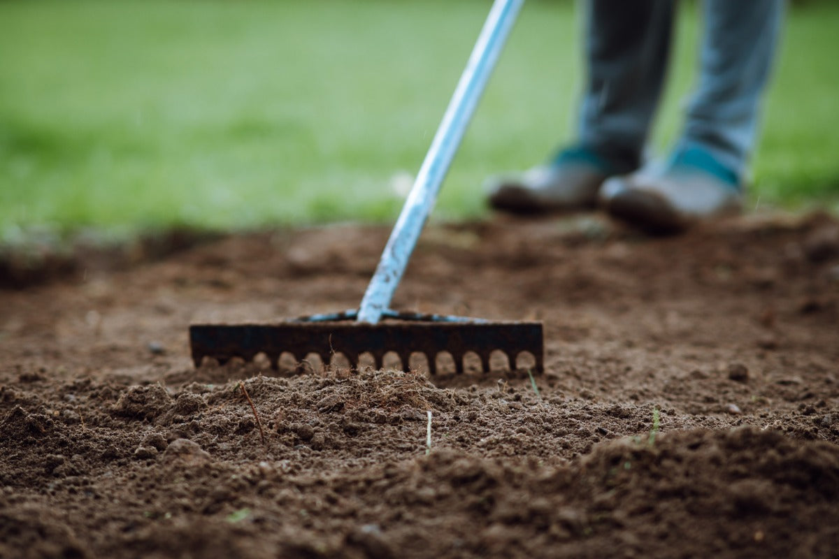 when to apply turf builder
