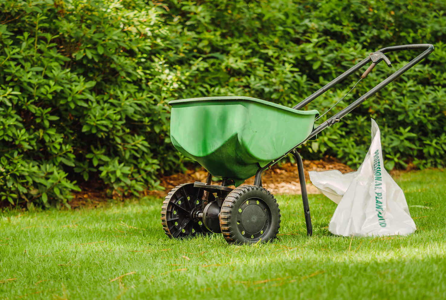 when to put down pre emergent in spring