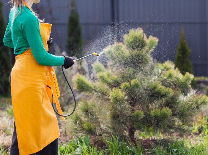 Healthy Lawn Full Website (Copy, 234 selected)