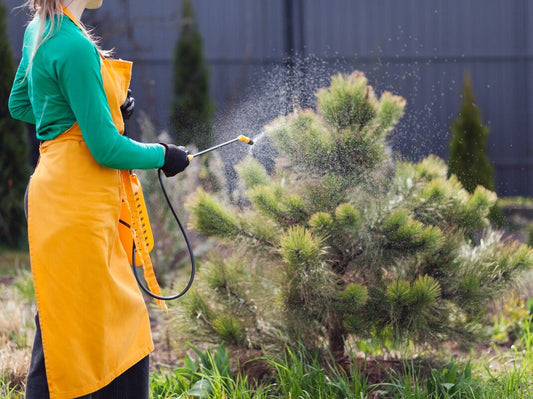 woman spraying her garden with the best mosquito lawn spray