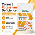 Potassium Boost 0-0-30 Lawn Fertilizer