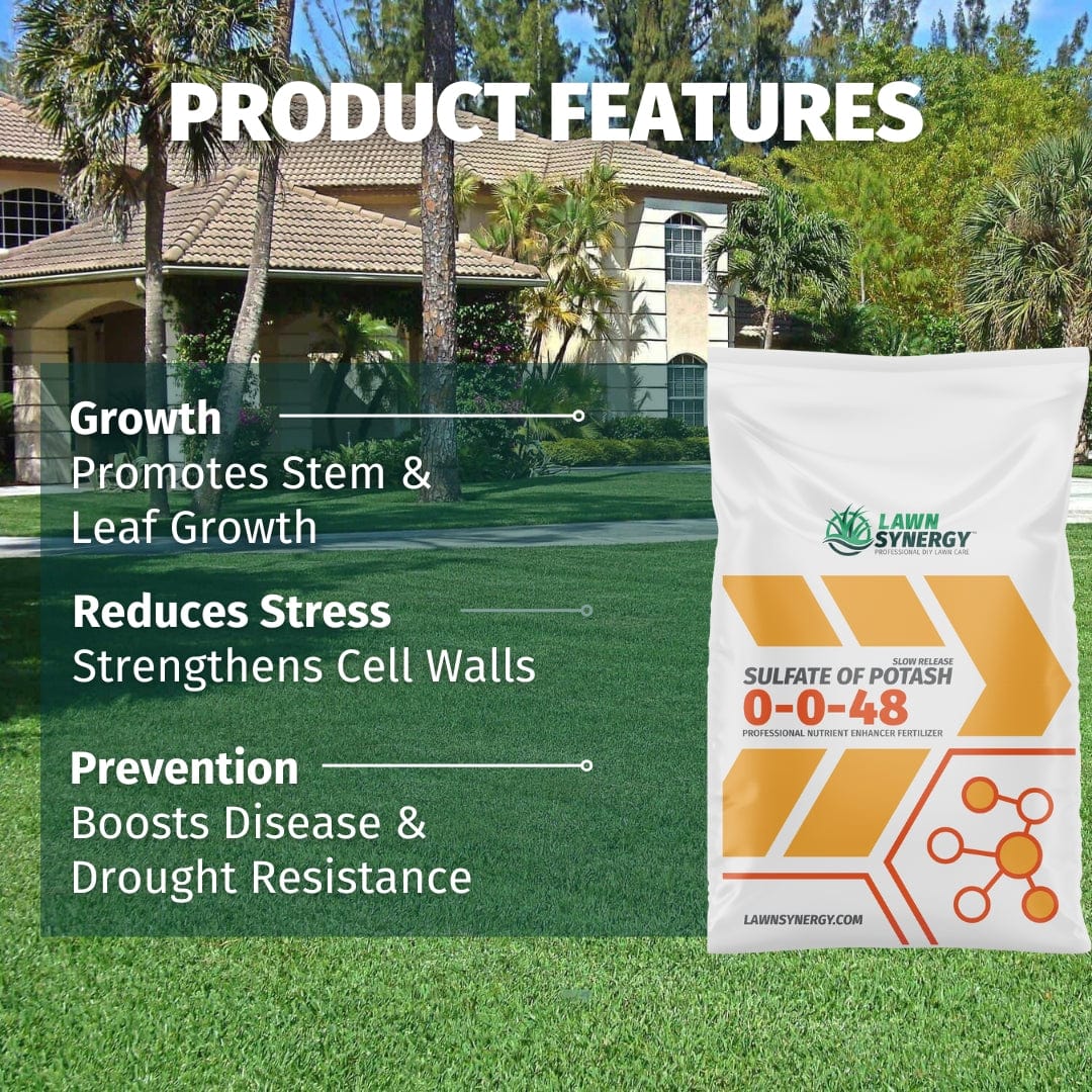 Potassium Deficiency in lawn