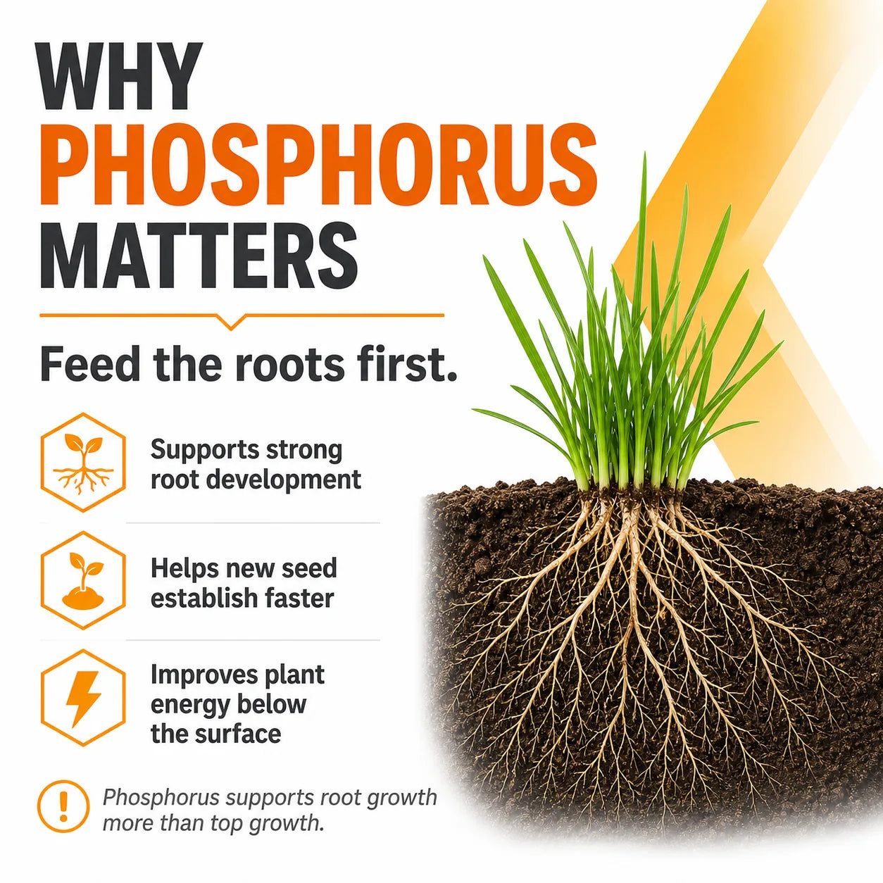 plant root growth fertilizer 0-46-0 Triple Super Phosphate Fertilizer