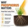 Triple Super Phosphate 0-46-0 Fertilizer
